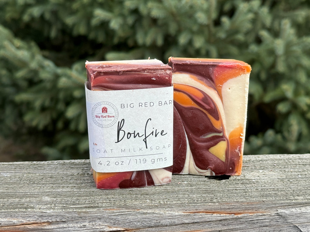 Christmas Soaps - Goat Milk Soap