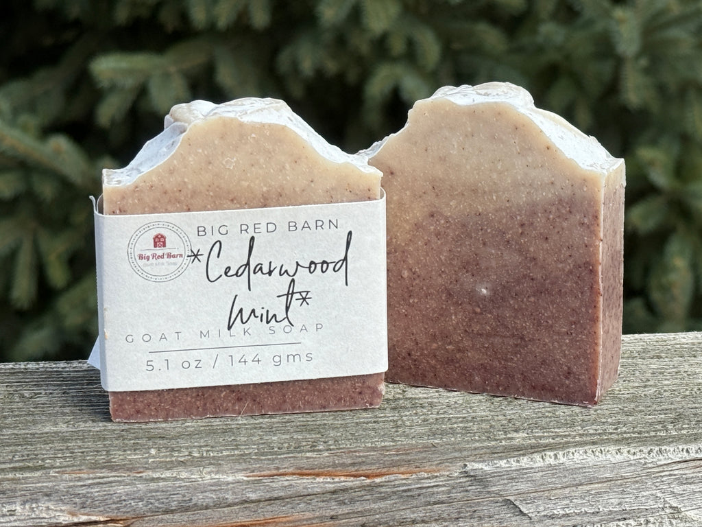 Christmas Soaps - Goat Milk Soap