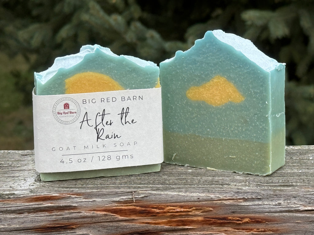 Christmas Soaps - Goat Milk Soap