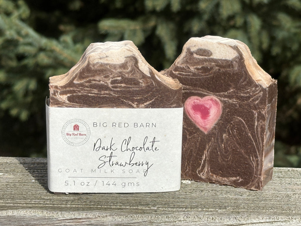 Christmas Soaps - Goat Milk Soap