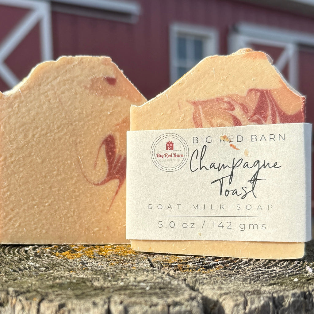 Goat milk soap bar with packaging labeled 'Champagne Toast' from 'Big Red Barn' on a wooden surface with a red barn in the background.